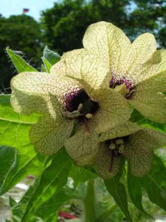 Hier entsteht mein neues Blog