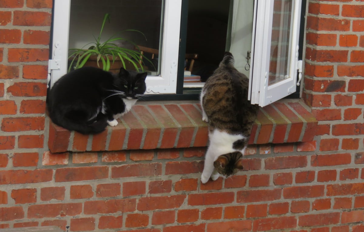 lenchen und siggi
