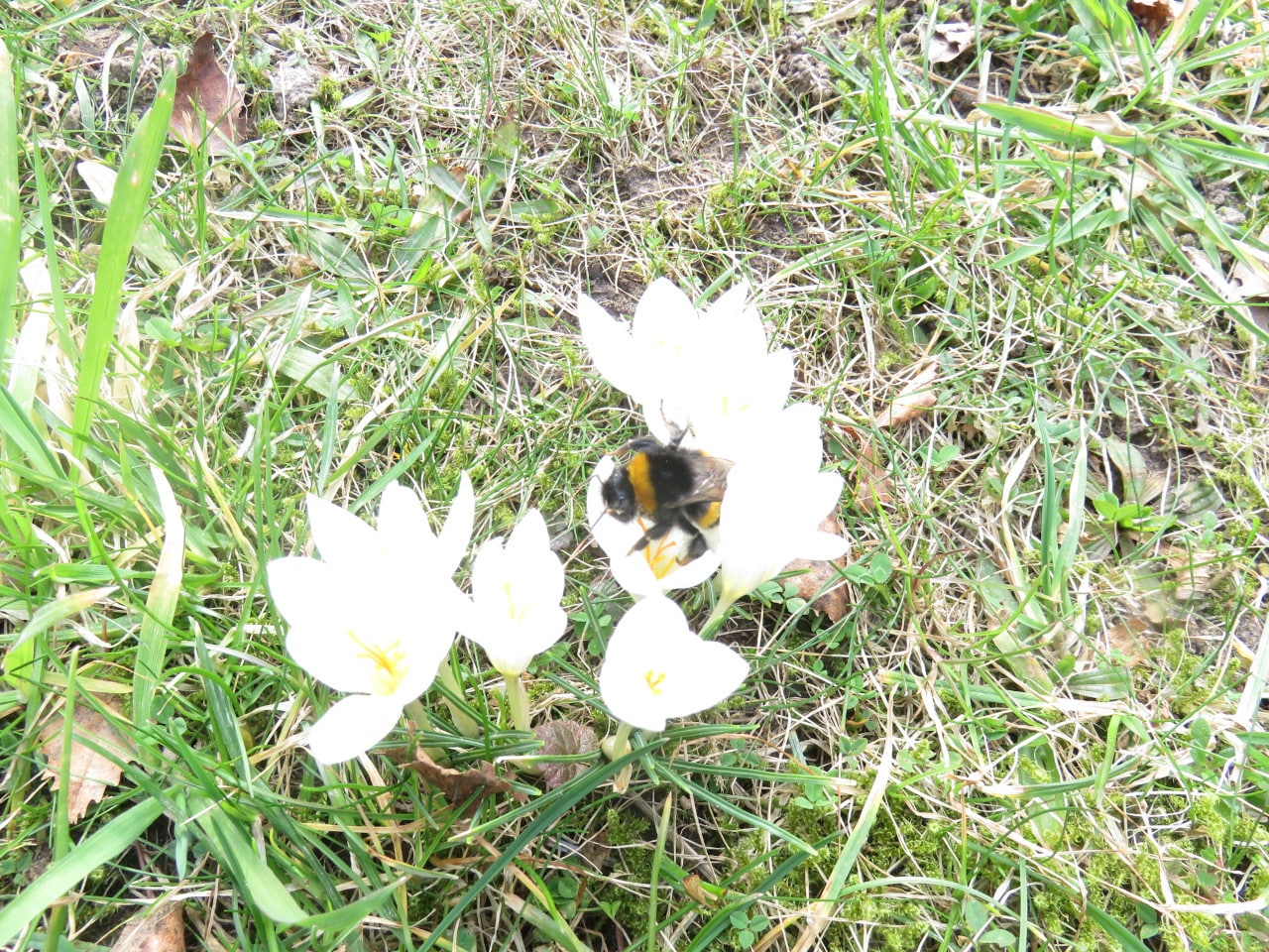 Über den Umgang mit domestizierten Tieren