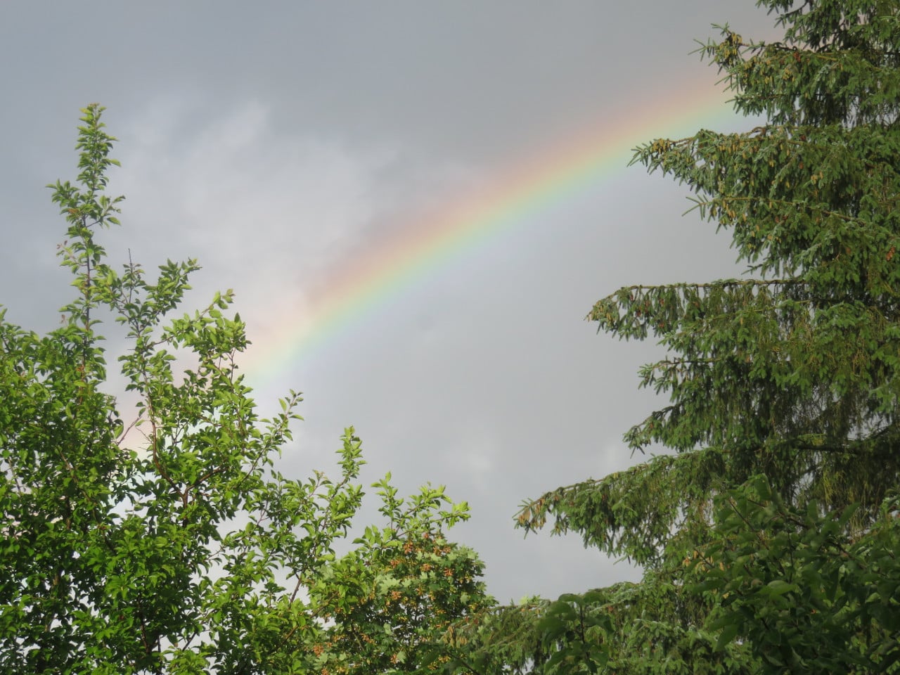Regen am Abend