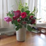 rosen und honigklee
