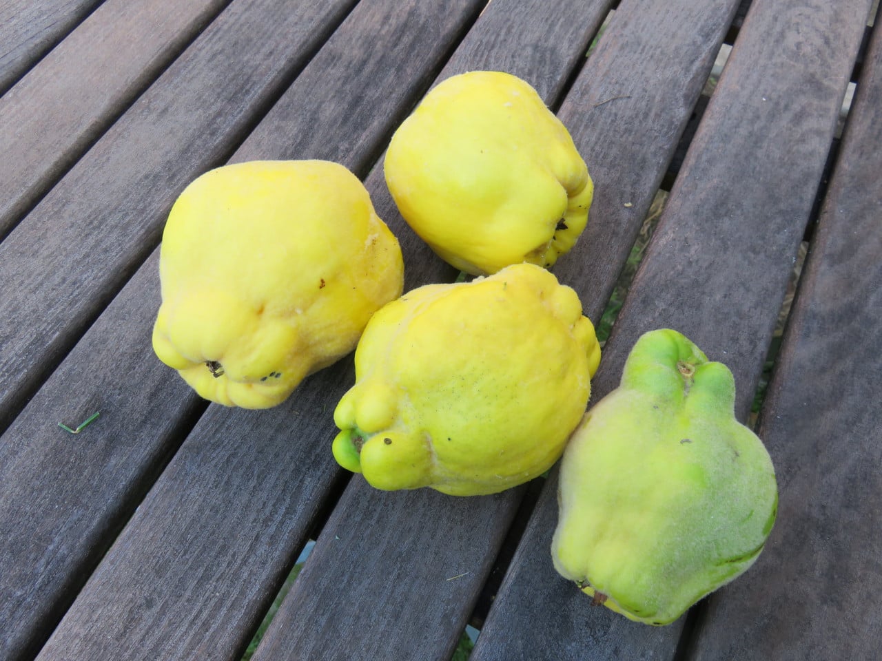 Der Herbst ist da